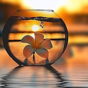 Meet your Posher, Anfisa